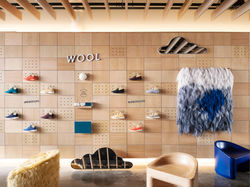 Allbirds Retail3