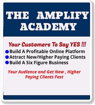 The Amplify Academy