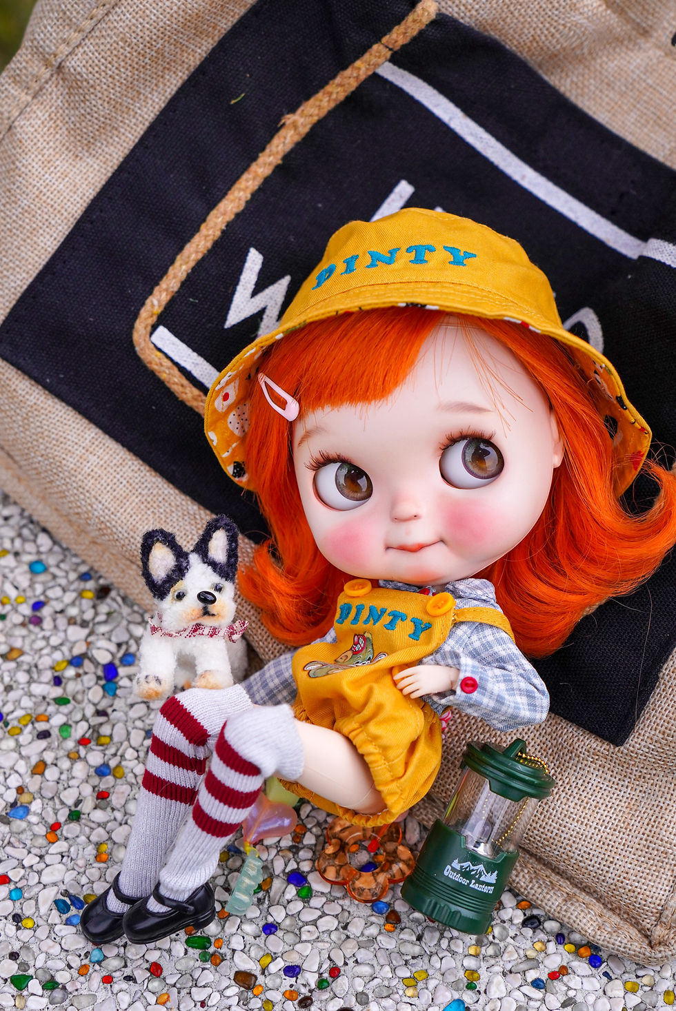 Thumbnail: Custom Blythe #481