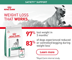 24_656452_RC_Satiety_DVM360_300x250(static)_v2.png