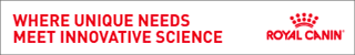 24_856800_RC_GI_DVM360_ROS Banners_300x250(static)_v4 (1).gif