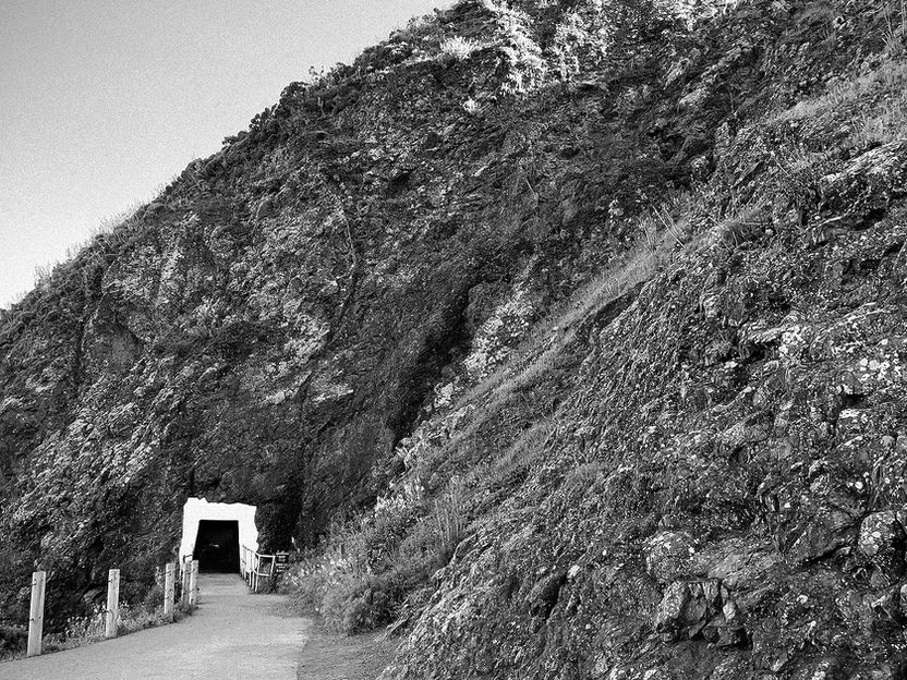black and white photo of a hillside with a path leading to a door