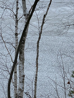 Art nature - Sherbrooke 2022.jpeg