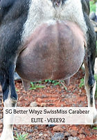 swissmiss2_edited_edited.jpg