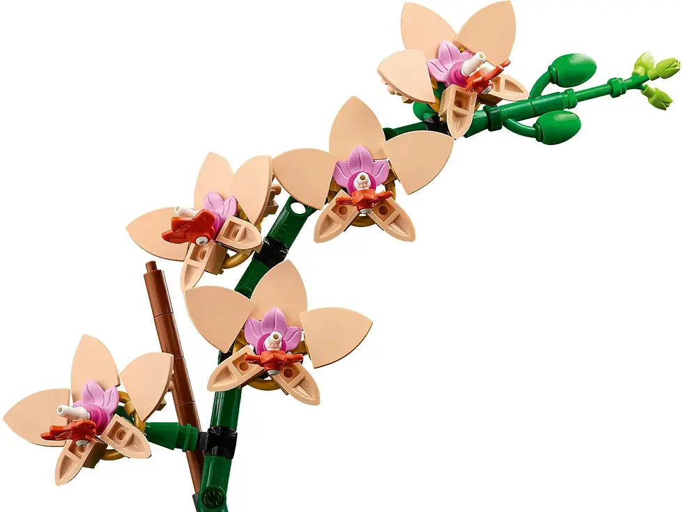 Thumbnail: LEGO 10343 Mini orchidee