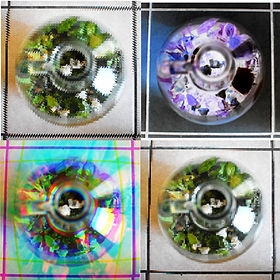 CECA Collab_Looking Within_2020.jpeg