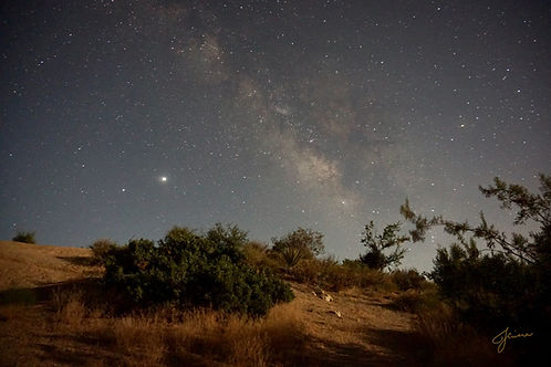 Rivera_Jhenny_Milky Way_2020 2.jpeg