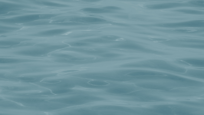 What’s life without whimsy.png