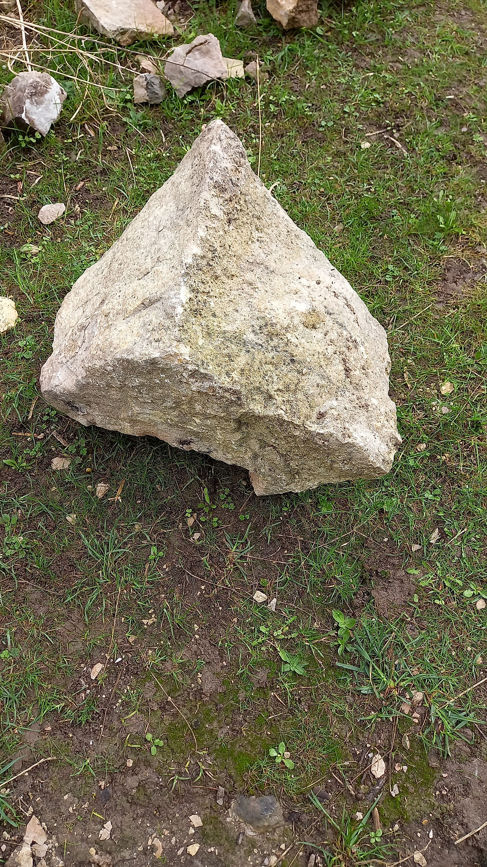 Photogrammetry re-topologizing 