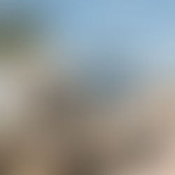 How did we get here?