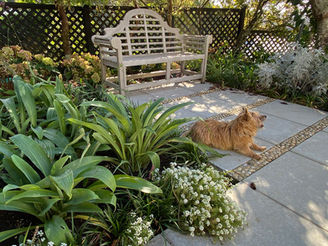 Patio back garden planting for a shaded area under the trees