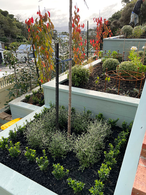 Terraced garden planting