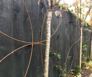 Steel on fence for training plants