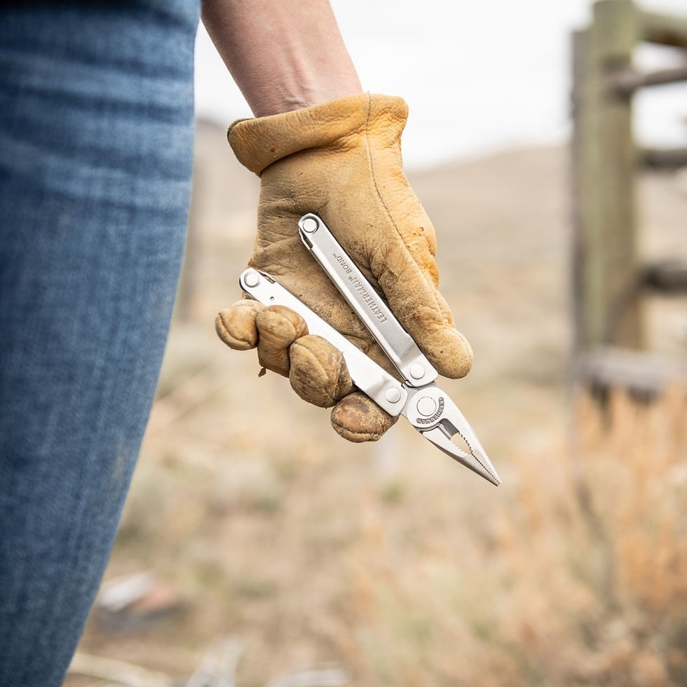 Прев'ю: Мультитул Leatherman Bond