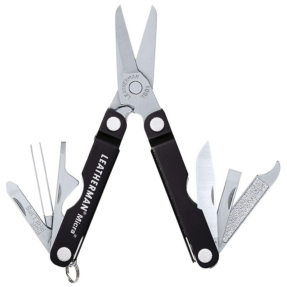 Прев'ю: Мультитул Leatherman Micra