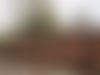 Direction l'océan pacifique sur les rails du Buscarril