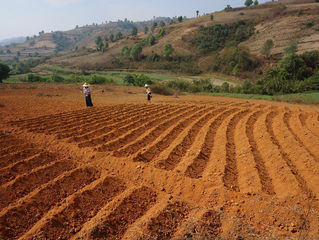 Aller sans retour en terres du lac Inle 2