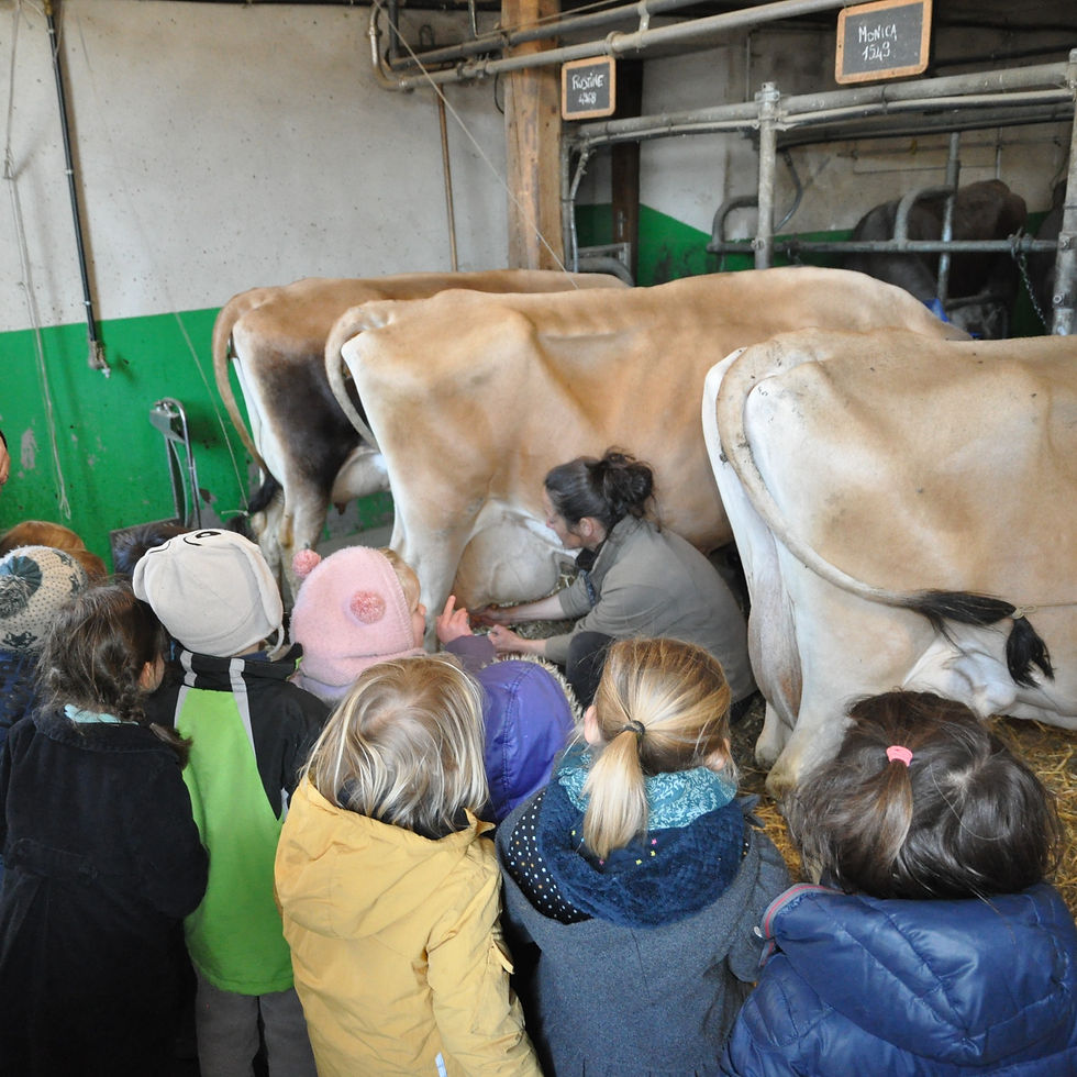 Ecole Ste Famille sortie à la ferme