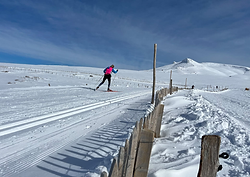 Du Ski de fond