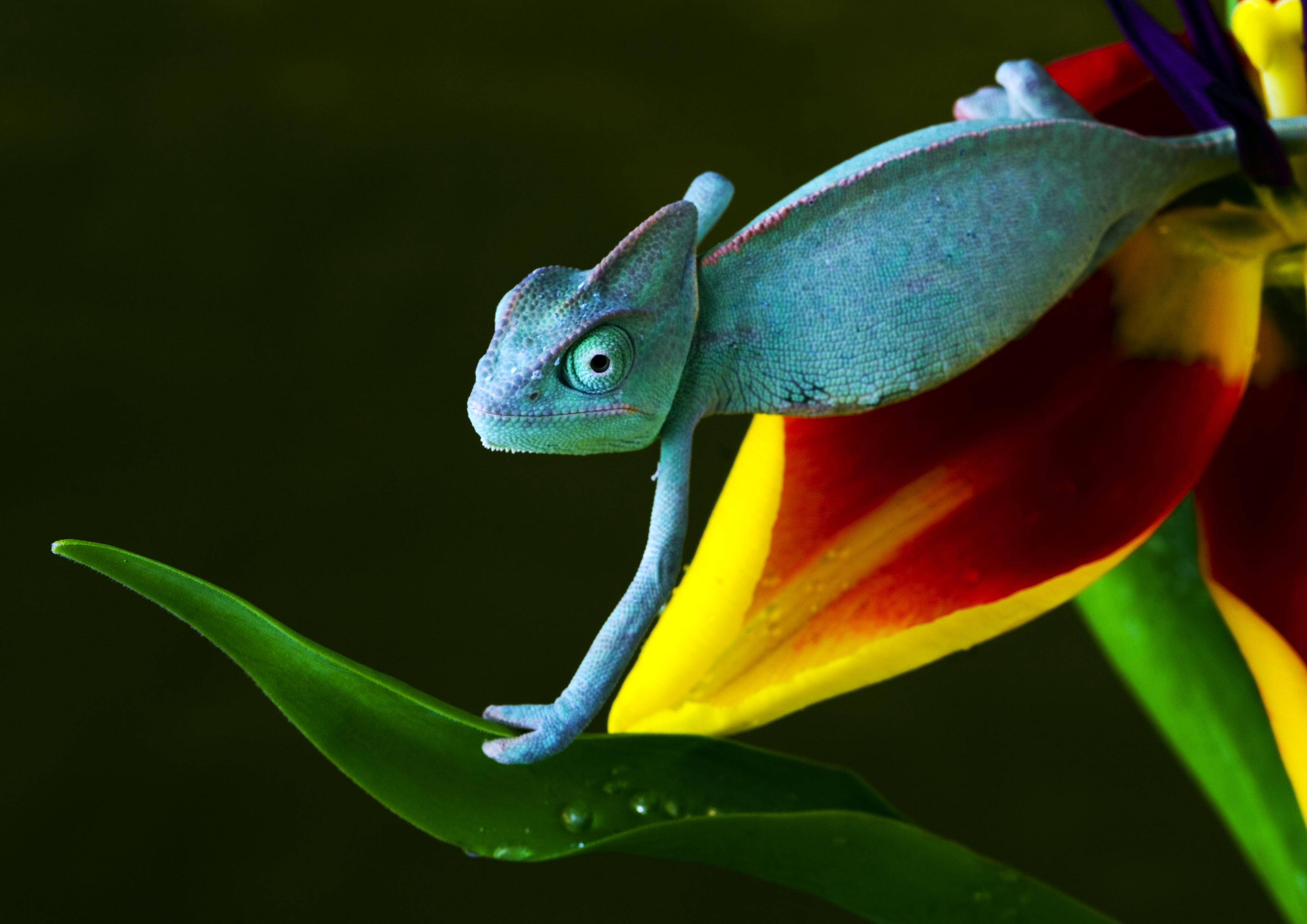ADAPTABLE A CADA AMBIENTE