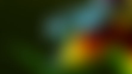 Boss Mindset – Adaptation Super Powers