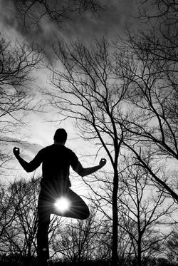 THE -simplicity- LIFE OF A YOGI