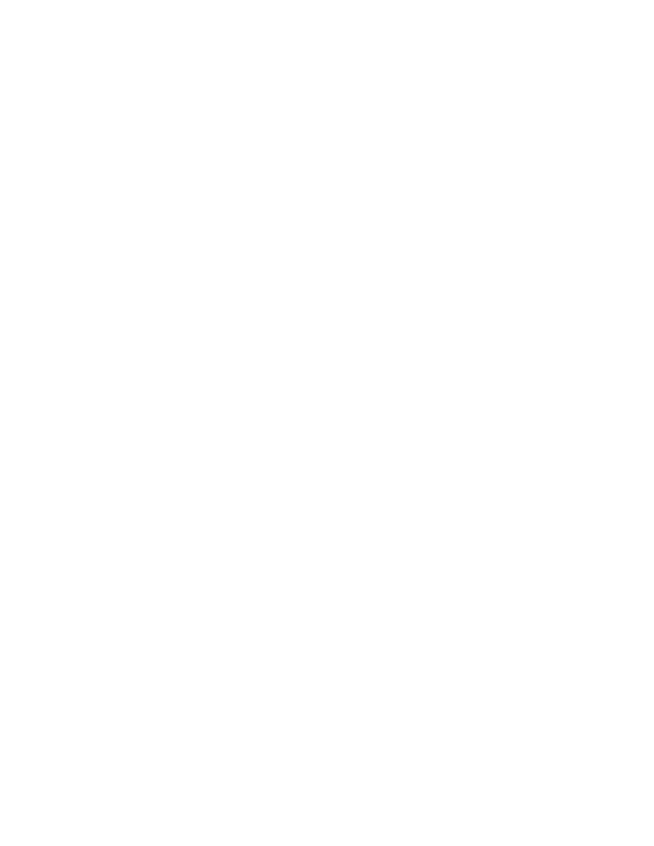 SS Brand Asset Waves-Translucent-01.png