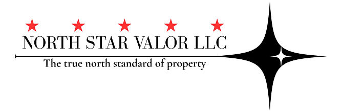 NORTH STAR VALOR LLC WHITE_edited.jpg