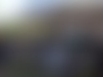 Musoke International and the Tedd Community Development Foundation (TCDF) Joint Christmas Party 2019