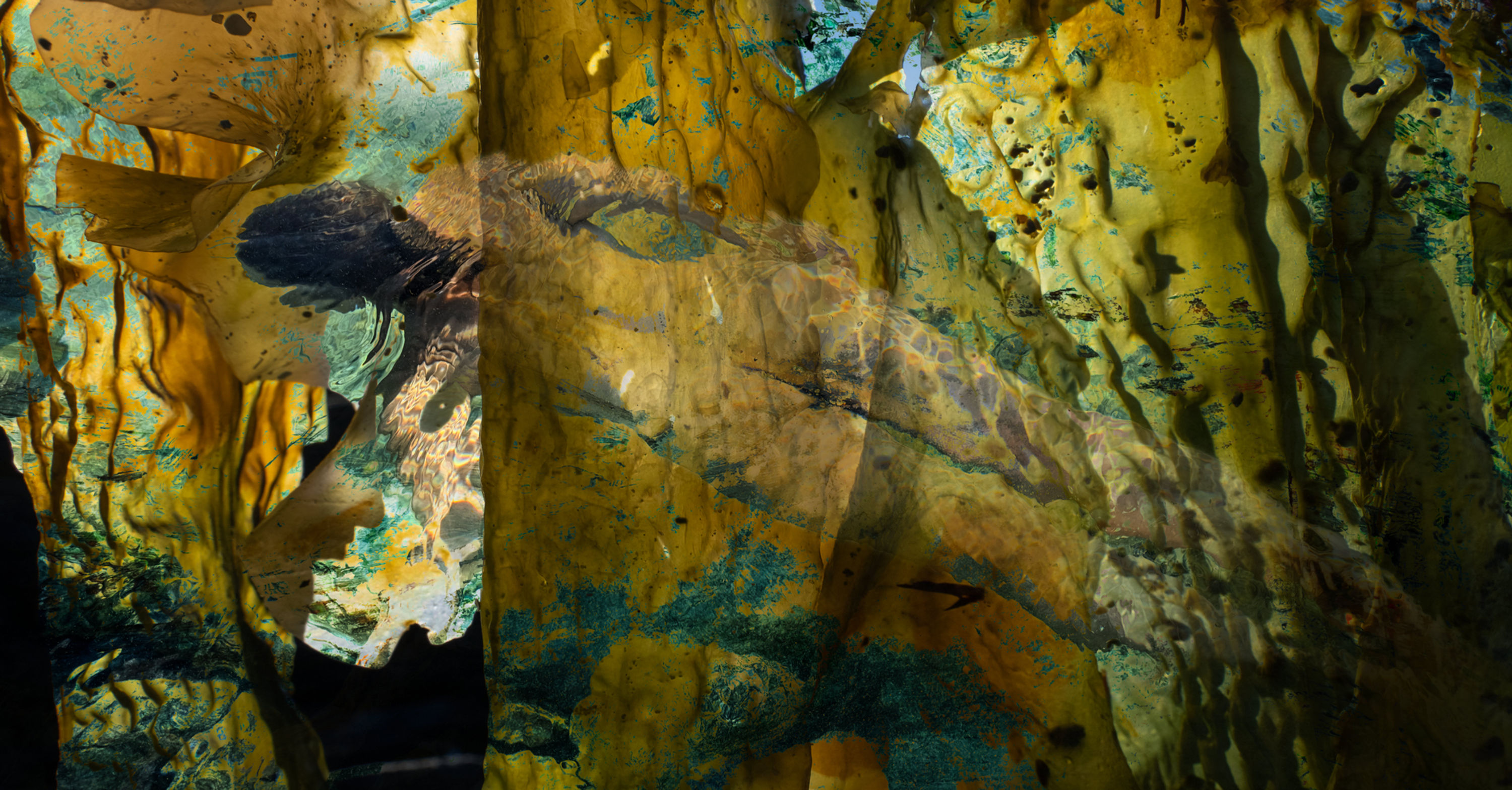 001_UnderWater (IMG_9853-2_LL)