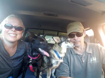 Terri Lyytinen Regional Realty - Remax Results