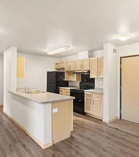 Modern apartment kitchen with breakfast bar and wood floors