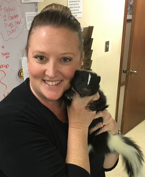 Dr. Christine Wickenheiser Ask Vet Christine