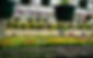 Rows of flowers and hanging baskets in a greenhouse