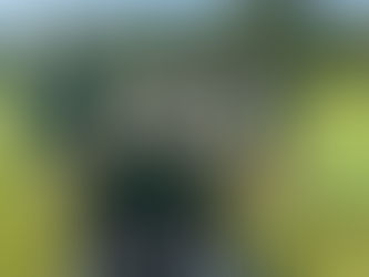 U15 Jaguars in action