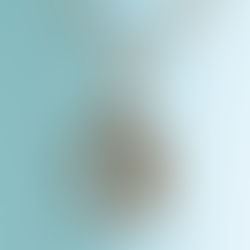 Results of Remember's October giveaway