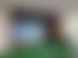 정자푸르지오3차