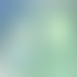 Case Study: How a Distributor Saved 20% of Daily Reporting Time with Sales Watch