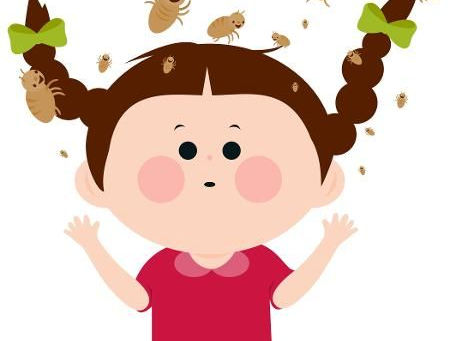 🪮6 dicas para dizer XÔ aos piolhos!