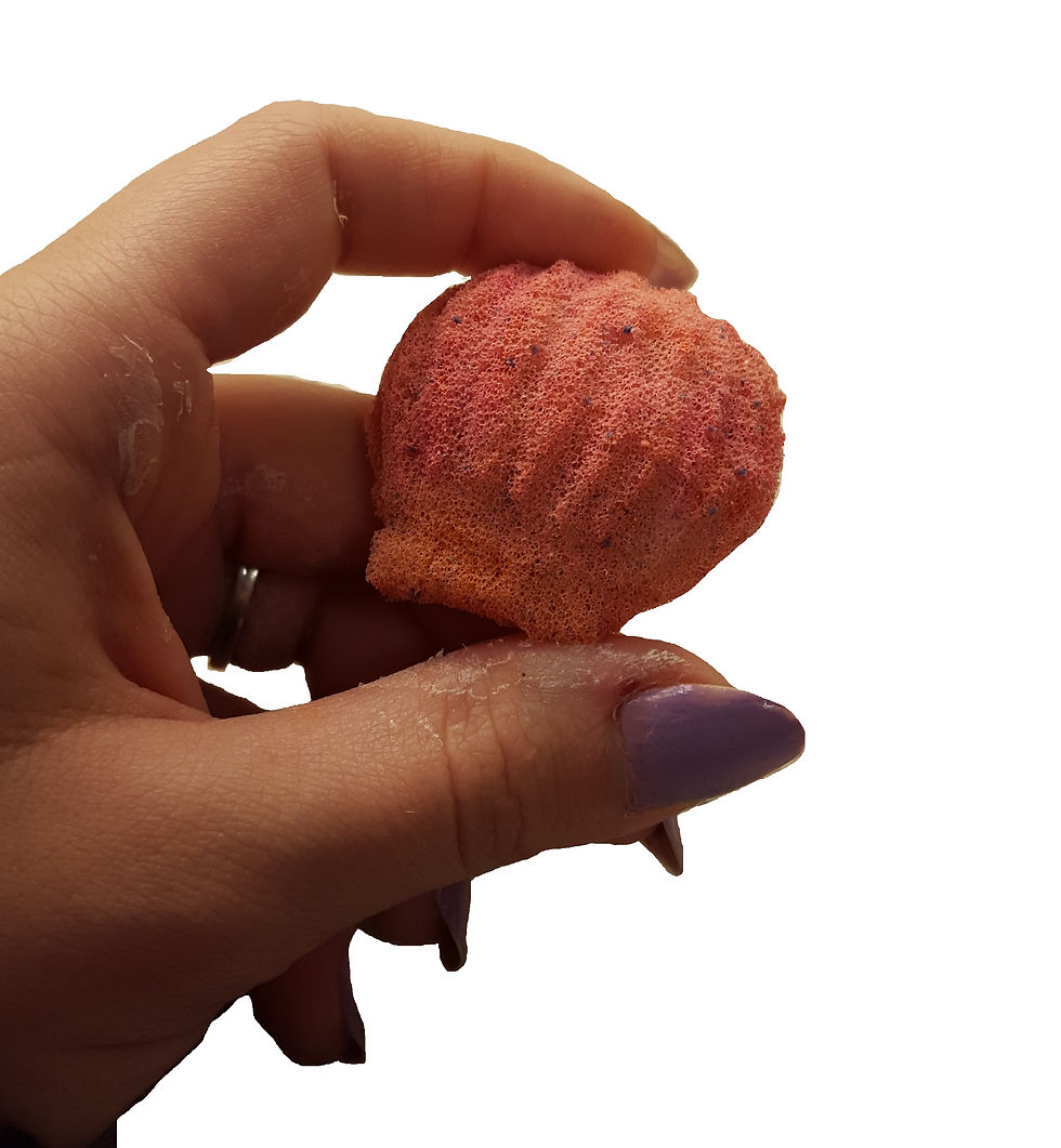 Thumbnail: Sorbet Sea Shell Squishy