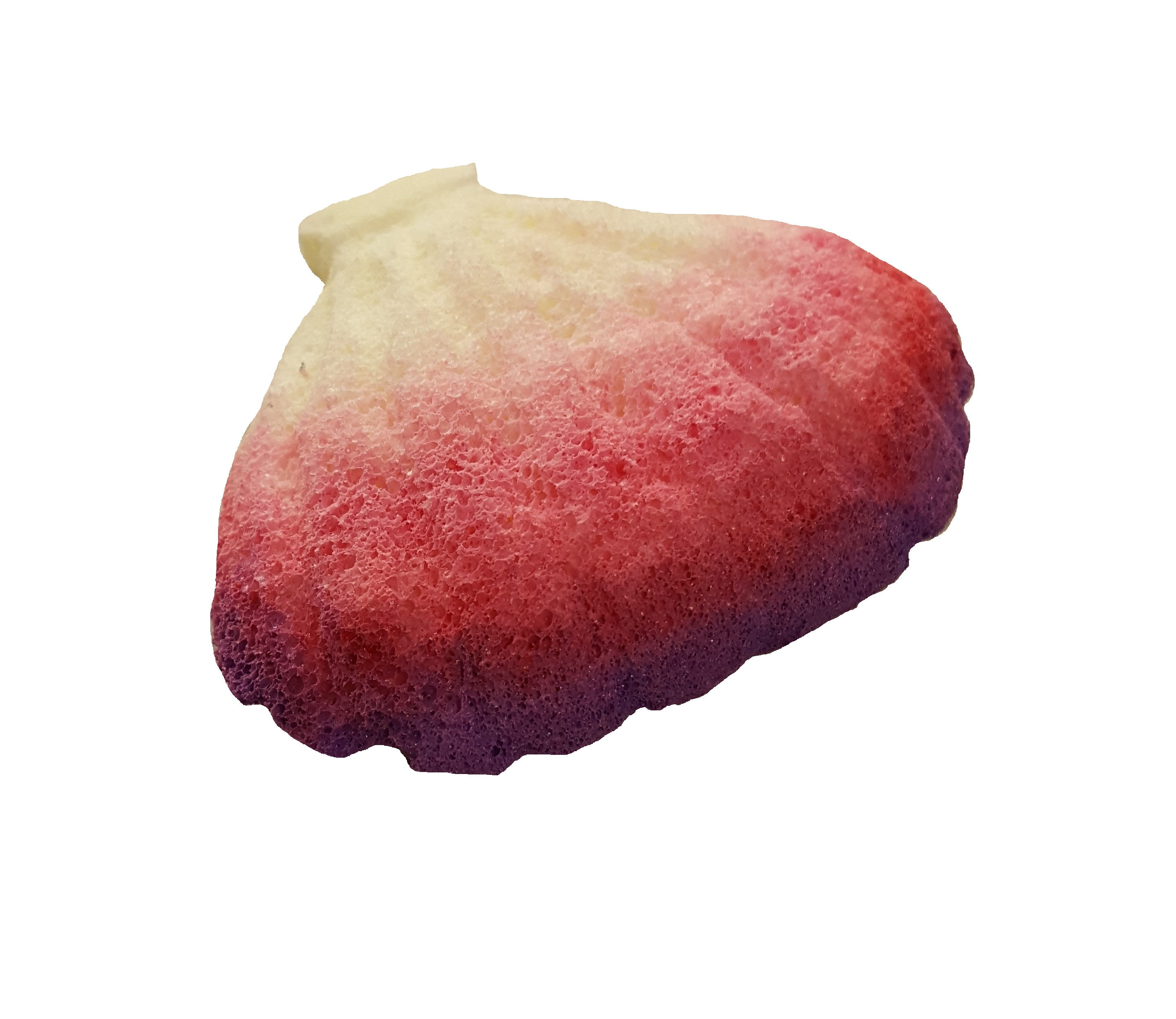 Ombre Fan Sea Shell Squishy