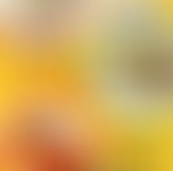 次回のSetLipClub本会員様、限定イベントは・・・