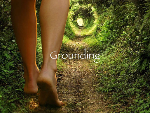 Discover the Benefits of an Organic Garden Dome