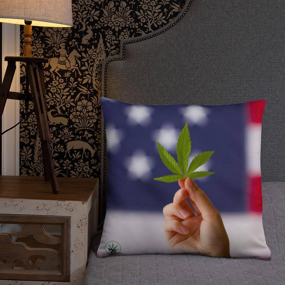Thumbnail: Basic Pillow