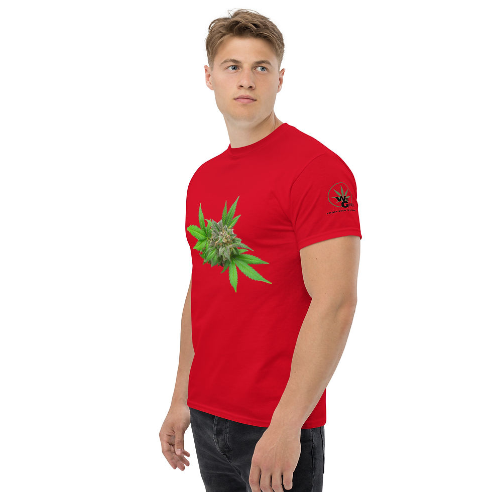 Thumbnail: Men's classic tee