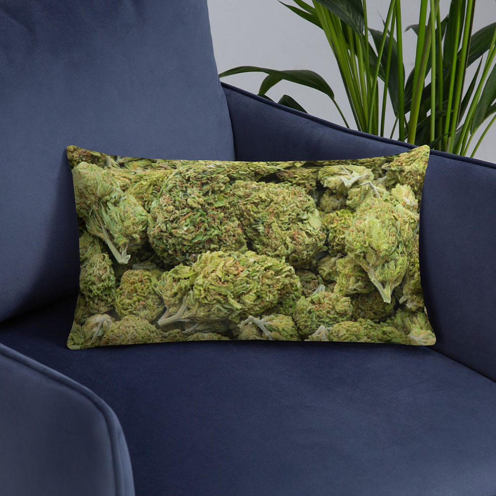 Thumbnail: Basic Pillow
