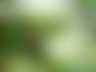 A green hummingbird hovers against a blurred green background. White text reads “The journey speaks back when we finally get quiet enough to hear it.”
