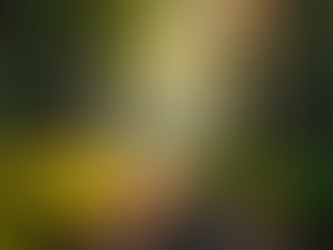 Achieve Wellness Through Holistic Healing