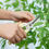 Thumbnail: Pruning Garden Scissors Professional Outdoor Gardening Flower Tree Branch Bypass