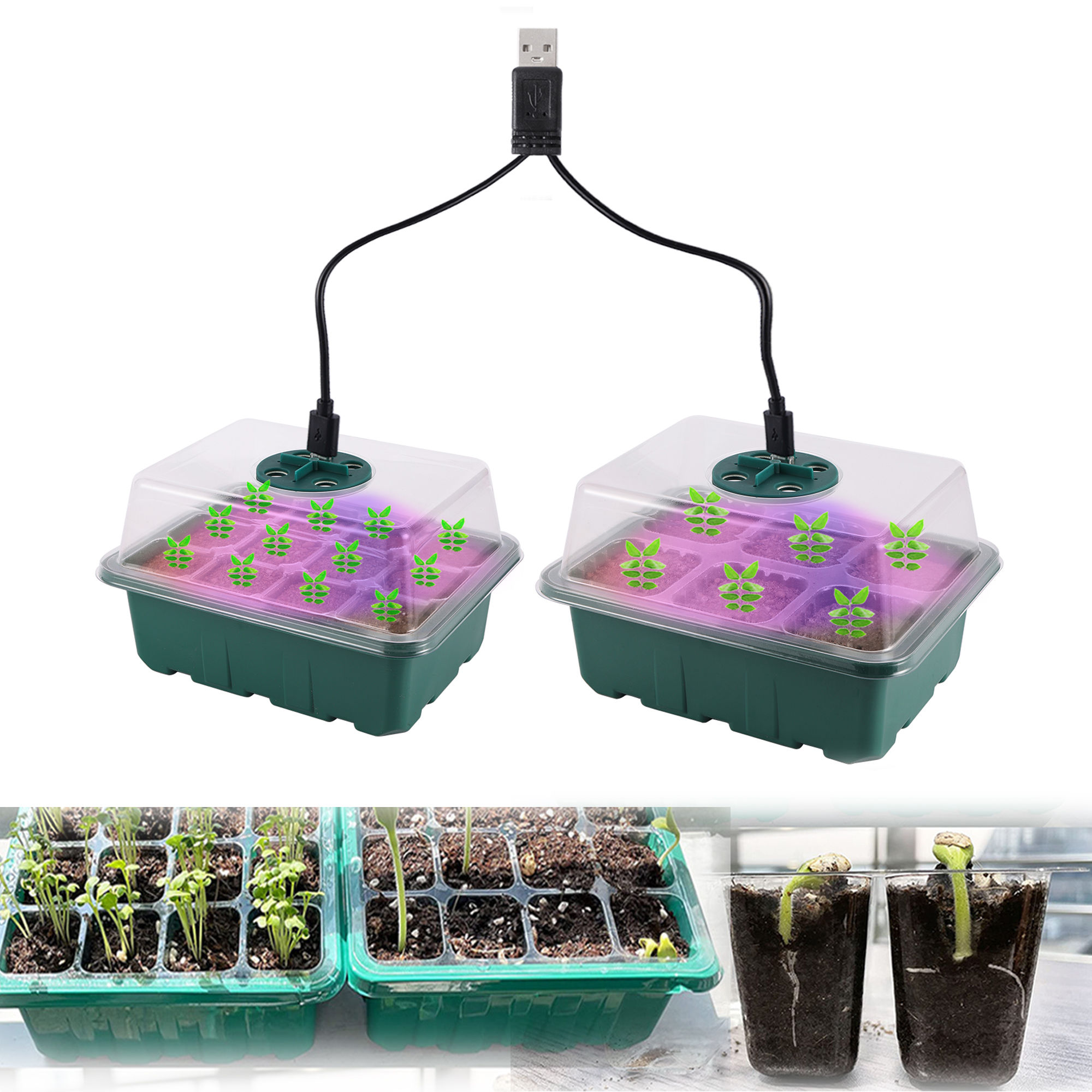 Seed Starter Tray Box With LED Grow Light Nursery Pot Seedling Germination Plant